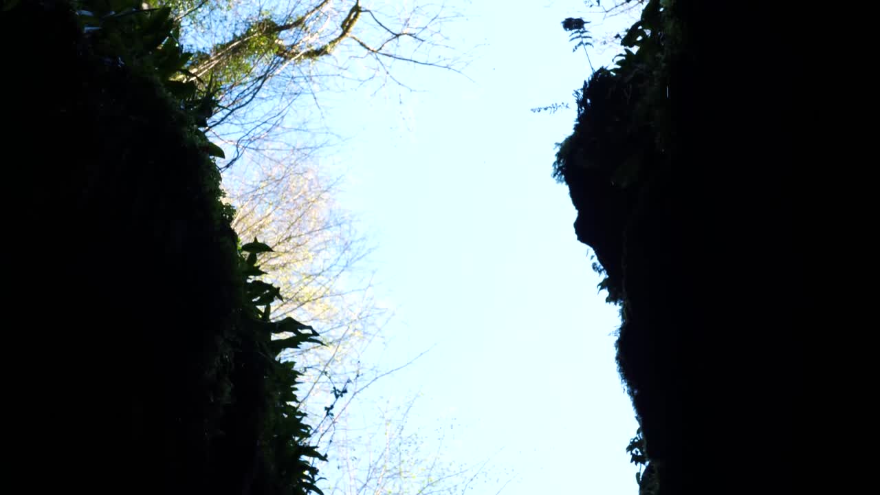 작은 계곡에서 하늘을 본 모습