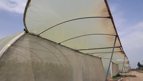 agrícola en invernaderos y riego por goteo