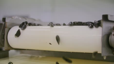 mussels falling off the conveyor belt in slow motion in a factory