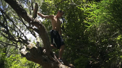 young man descending from slanted tree over hiking trail, slow motion