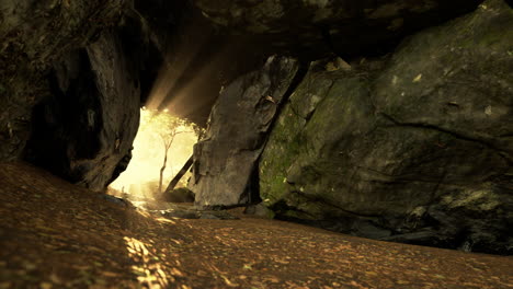 sunlight streaming through a cave entrance