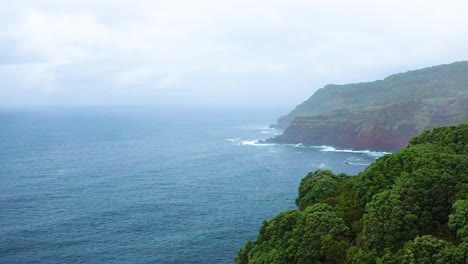 lush rainforest and steep cliffs at miradouro da ponta do queimado in azores, terceira island, portugal