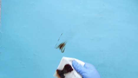 Hand-in-blue-rubber-gloves-cleaning-table-with-towel