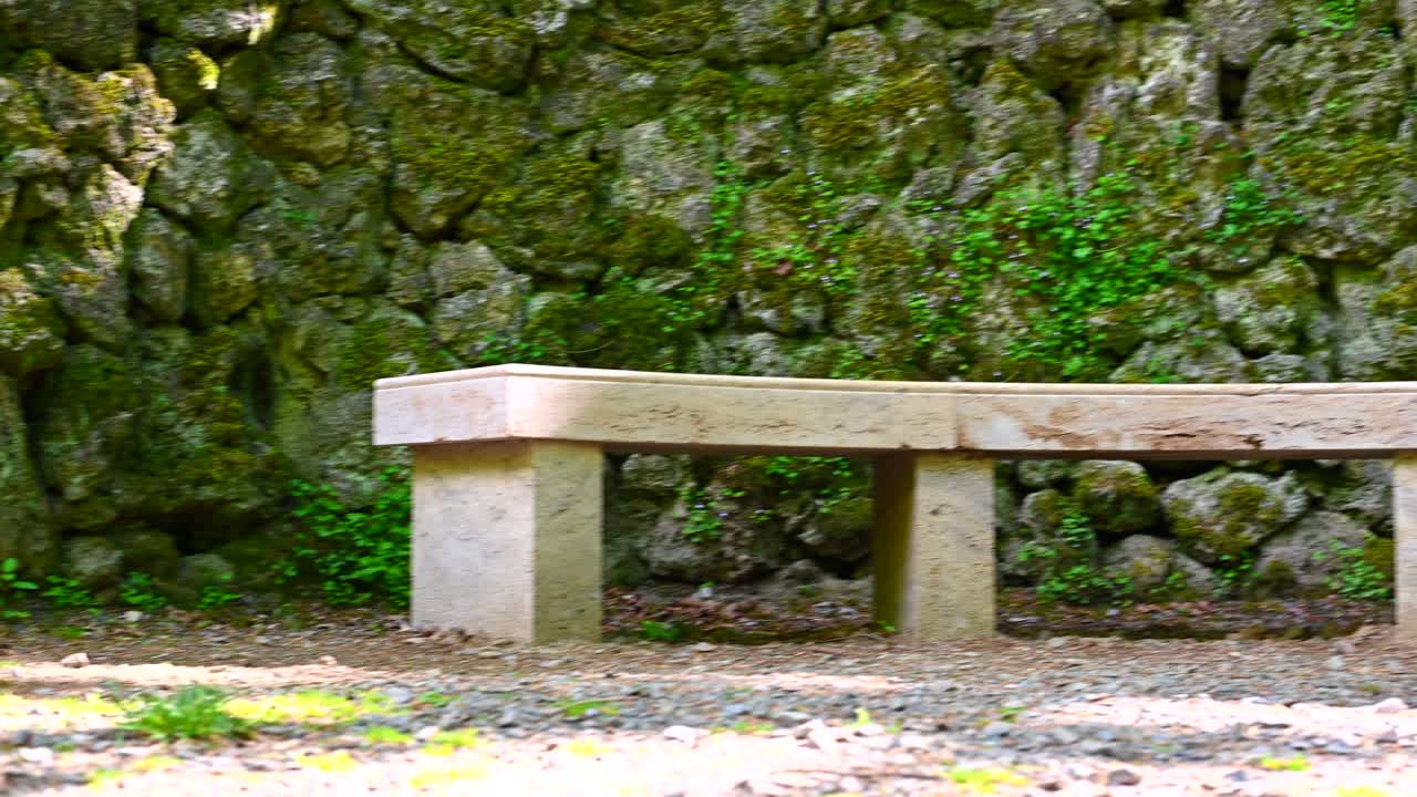 돌로 만든 둥근 모양의 벤치가 개별적인 큰 돌로 만든 돌 벽 앞의 공원 안에 있습니다.