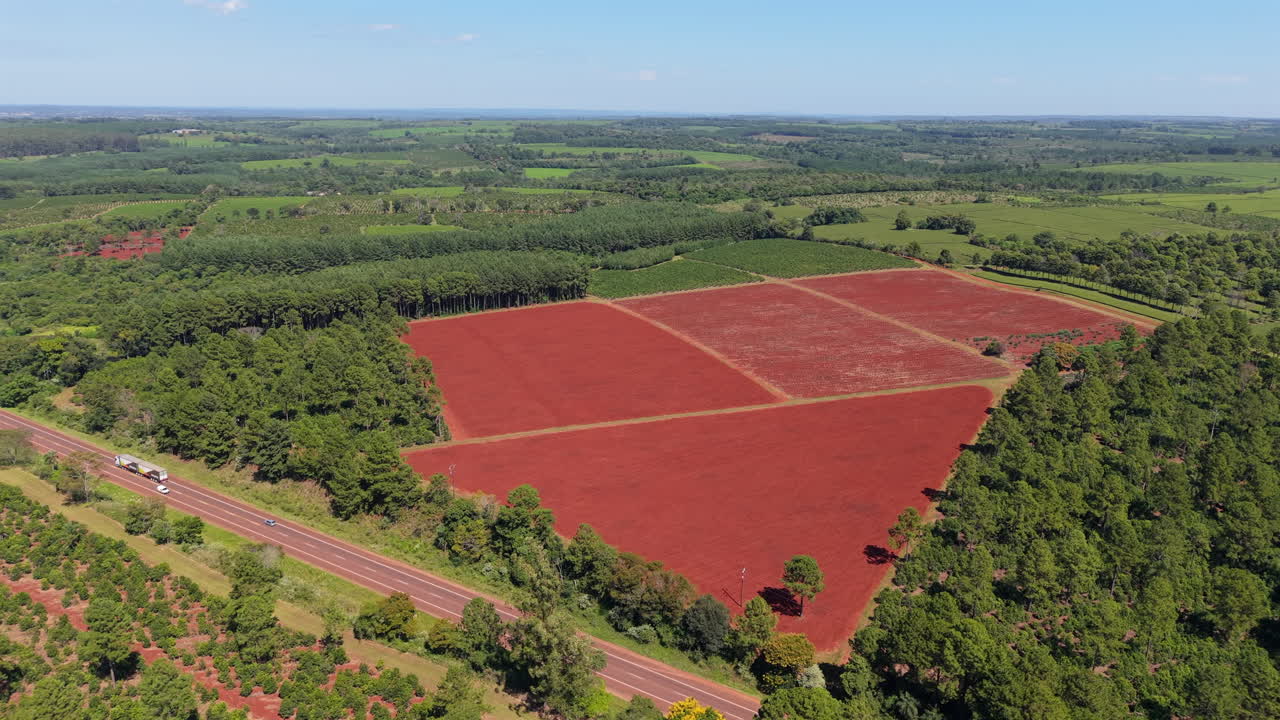 Aerial view of red soil farmland surrounded by green fields and forest, rural agriculture