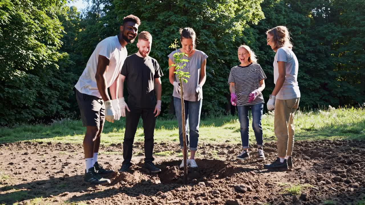 A group of people planting a tree in a park, captured from a low-angle shot