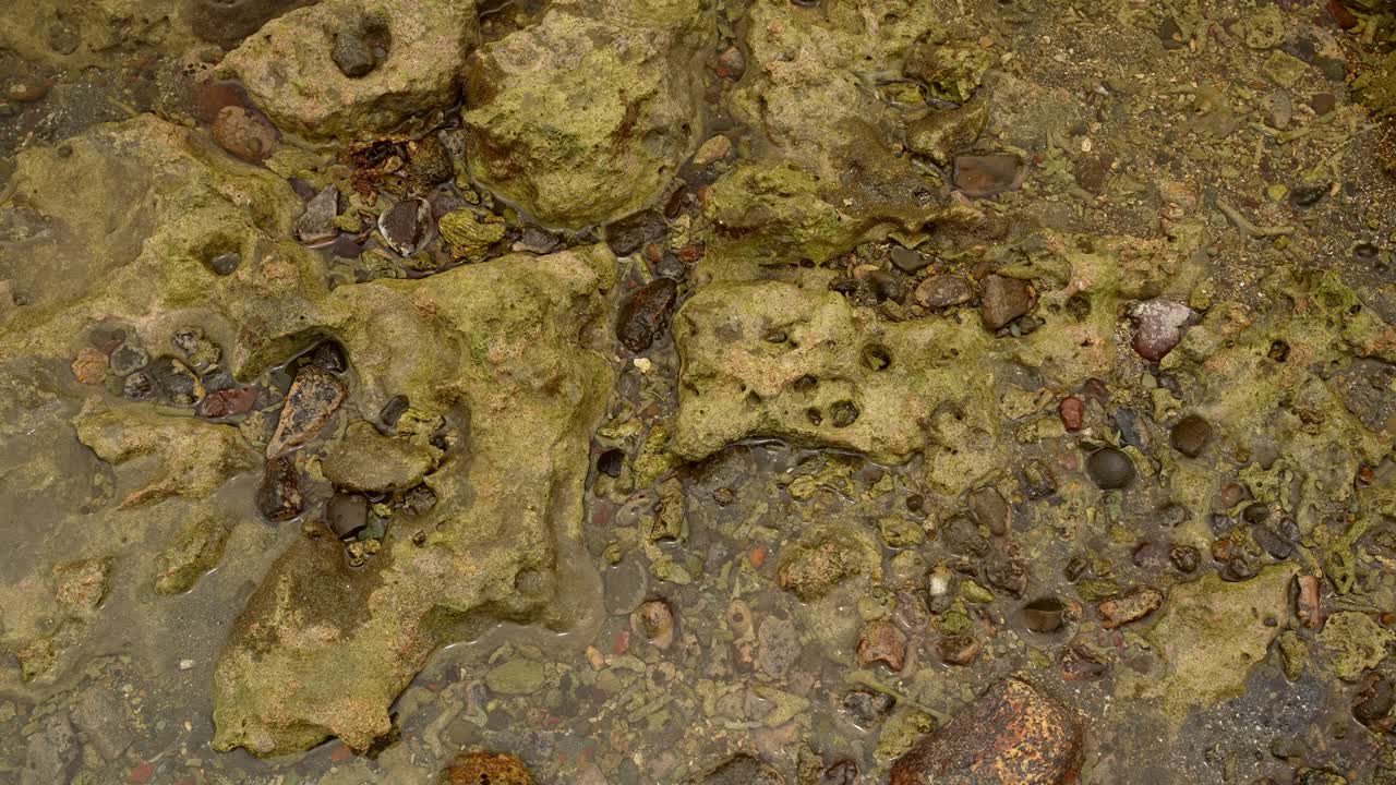 An above shot of wet stones and pebble patterns form a living canvas, textures layered by erosion and growth near Mauban Port, Quezon Province Philippines