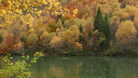 autumn foliage and lake scenery