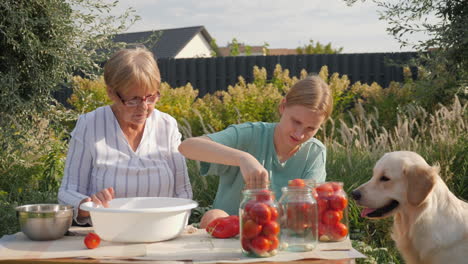 grandmother and granddaughter canning tomatoes in the garden