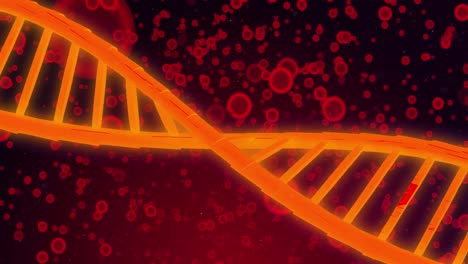 Animation-of-dna-over-red-cells-on-red-background