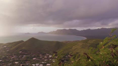 hermosa caminata con vista a la playa de hawai con un par de pastilleros en la parte superior
