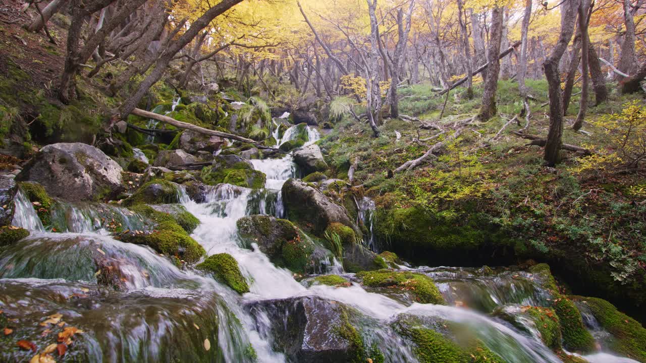 een rivier in het bos met herfstkleuren