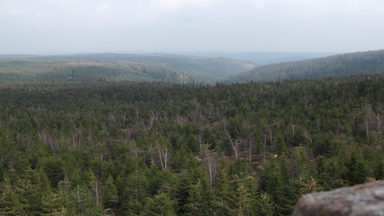 View over Schwarzwald forest with rock in Baden-Württemberg Germany