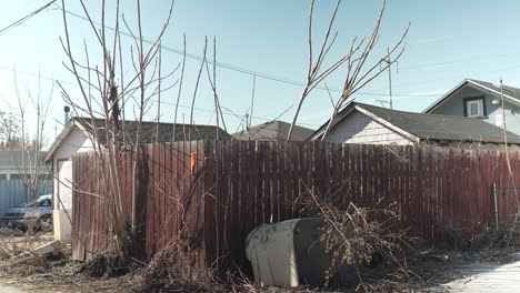 árboles-En-Ciernes-De-Primavera-En-Un-Callejón-Trasero