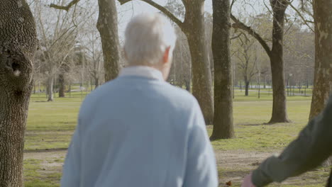 back view of a senior couple holding hands and walking in park on sunny autumn day