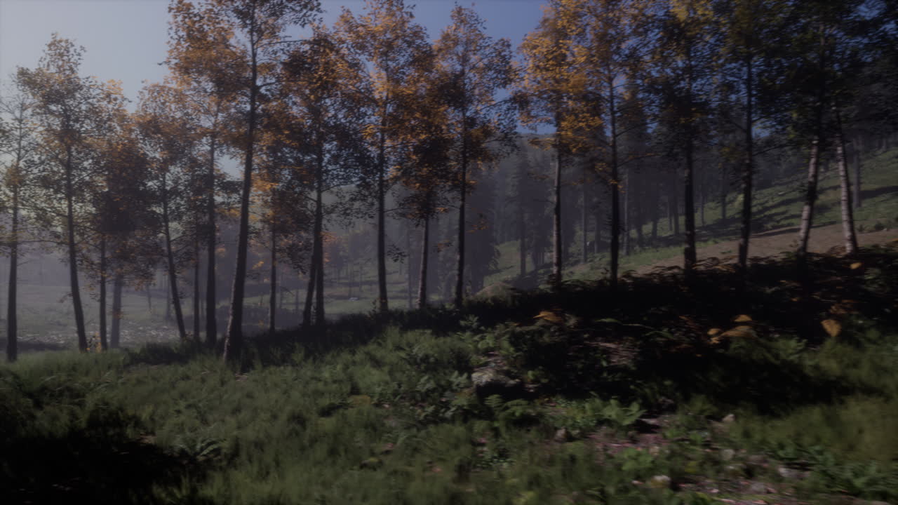 luz de la luna sobre los abetos del bosque mágico misterioso de la noche