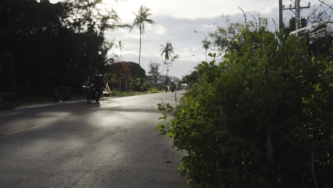 Street-landscape-with-palm-trees-and-motor-bikers-passing-by