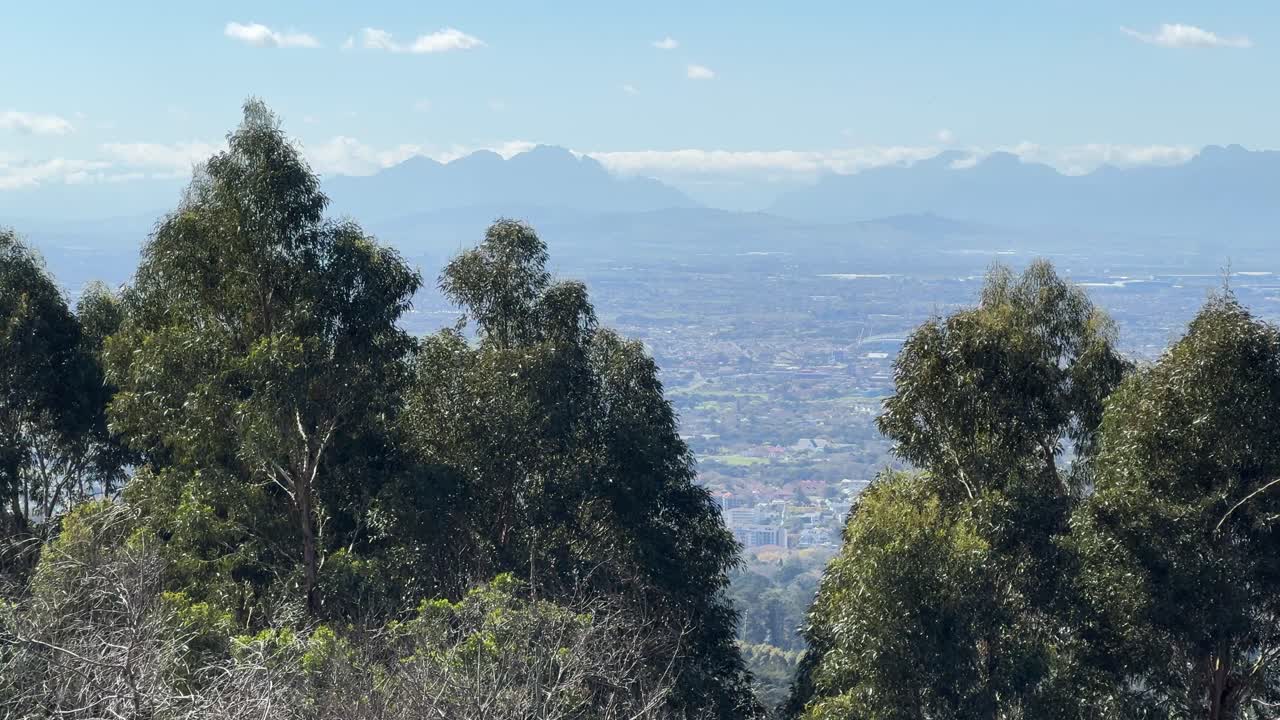 Views of Cape Flats and Bellville from Newlands Forest in the Table Mountain national Park near Cape Town