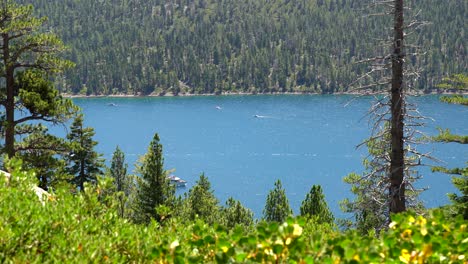 Aerial-view-of-the-shores-of-Lake-Tahoe,-California,-United-States