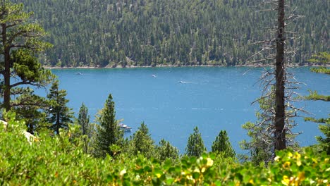 vista aérea de las orillas del lago tahoe, california, estados unidos