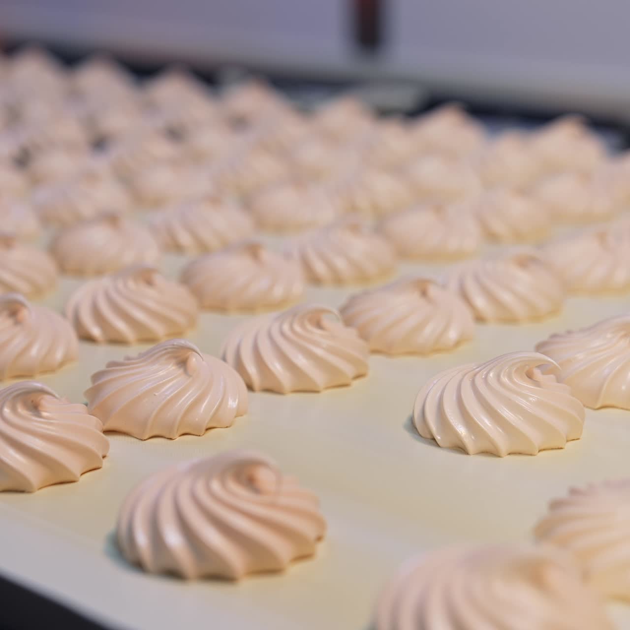 Ready-made creamy marshmallows move by the conveyor belt into the dryer. Marshmallow production on the confectionary factory. Close up