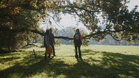 friends enjoying autumn day in park