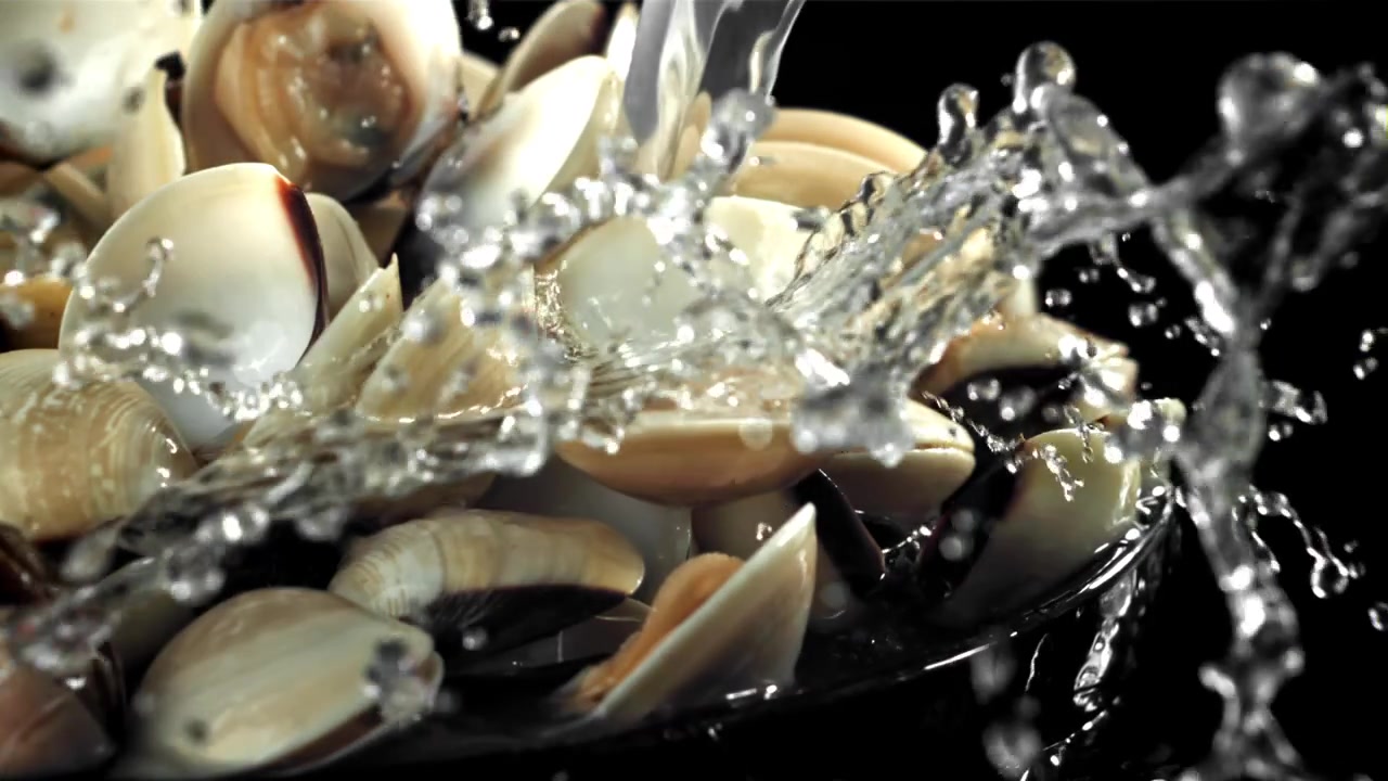Water Pouring Over Fresh Clams in Slow Motion on Black Background