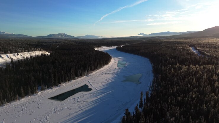 Forests And Frozen River Near Lake Laberge In Yukon Territory, Canada. Aerial Drone Shot