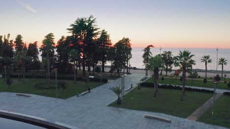 aerial view of batumi palm tree park against black sea skyline and sunset, georgia