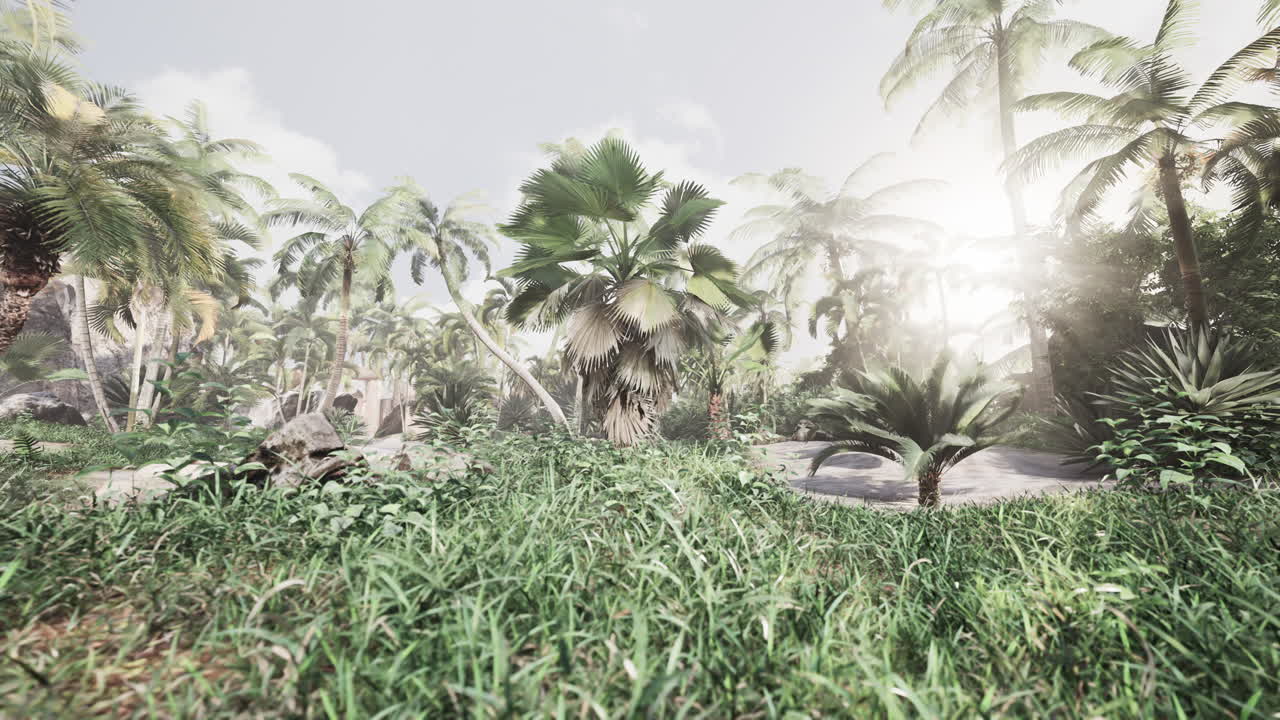 자연적 인 참나무 잎 나무 가지 의 배경