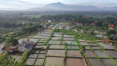 aerial view of indonesian village and farms