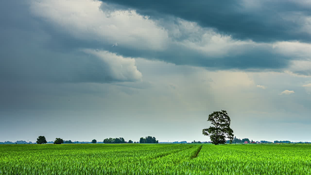 Time lapse of storm clouds flowing above bright field with dramatic lighting contrast, natural backdrop background