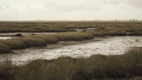 4k-Schlammiges-Flussbett-Bei-Ebbe-Mit-Etwas-Wasser,-Das-Den-Fluss-Hinunter-Zum-Ozean-Fließt