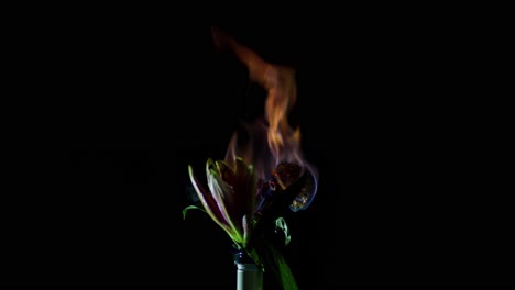 a flower in a vase burning