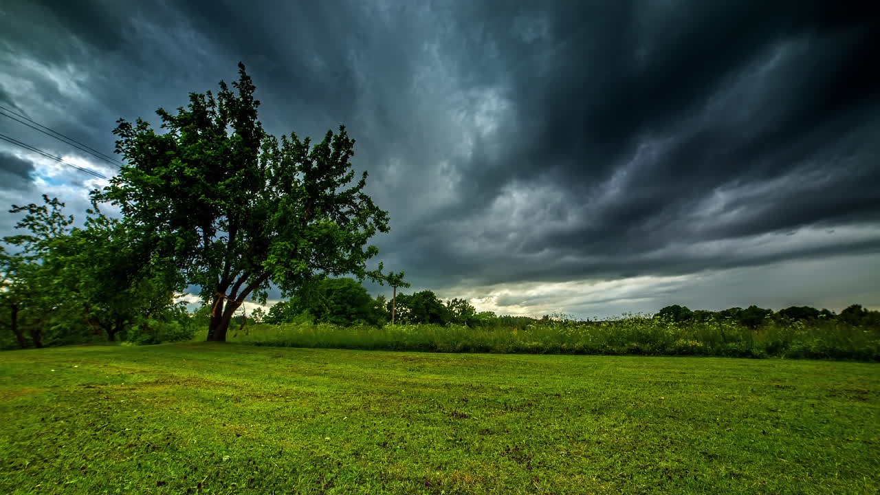 저속 촬영을 통해 시골의 깨끗한 푸른 잔디밭의 모습