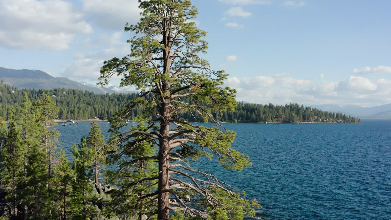 Vista panorámica del lago con pinos y montañas.