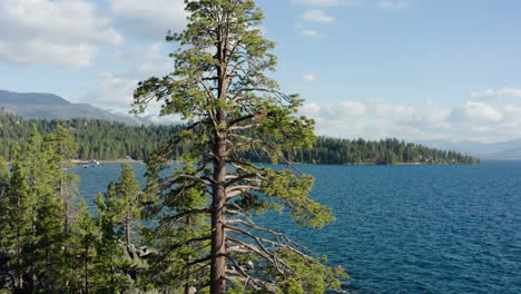 scenic lake view with pine trees and mountains