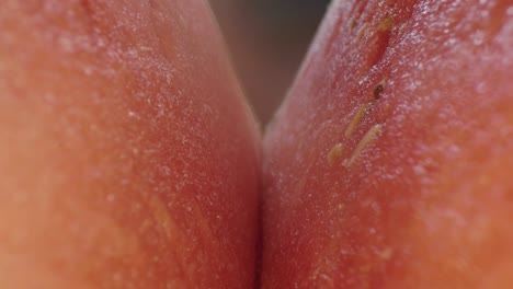 Toma-épica-De-Comida-Macro,-Moviéndose-Hacia-Atrás-A-Través-De-La-Carne-De-Una-Sandía-Madura-Roja