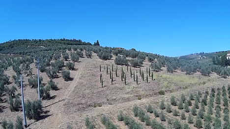 sieci, pontassieve