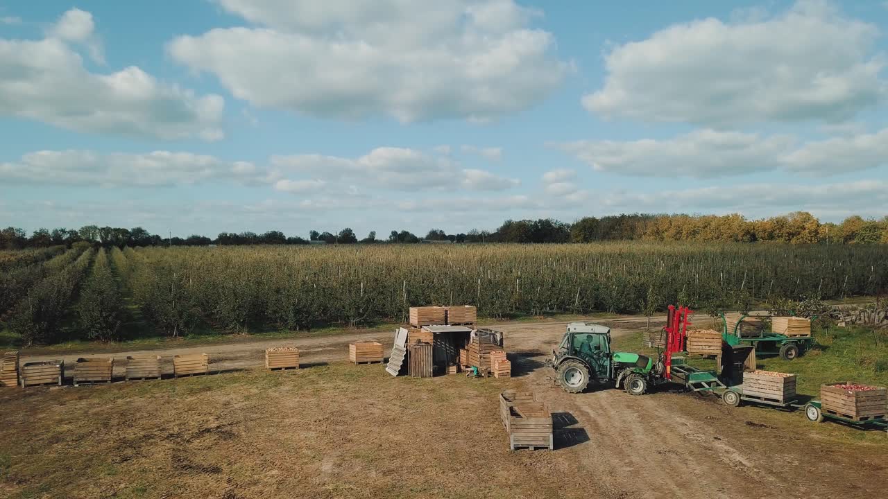 Apple orchards view from above. Beautiful outdoor countryside scenery from drone view