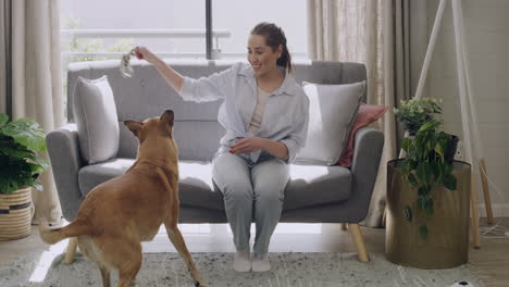 young woman teaching dog tricks and training it