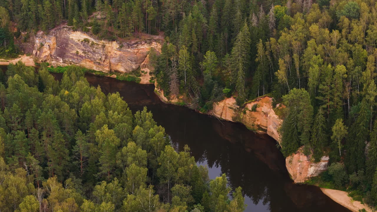Gauja River Flowing Through Sandstone Cliffs In Gauja National Park, Latvia. Aerial Drone Shot