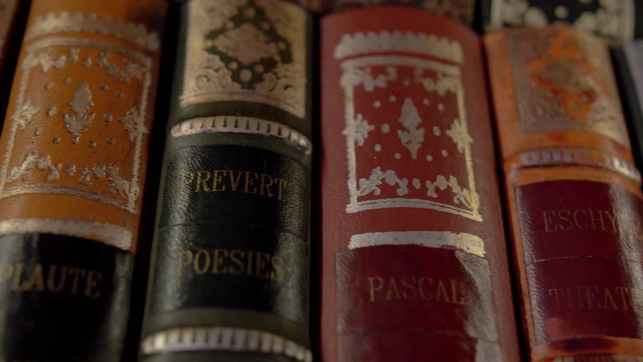 close-up on a row of old books written by famous writers such as Pr&eacute;vert and his poetry, Ronsard, Pascal