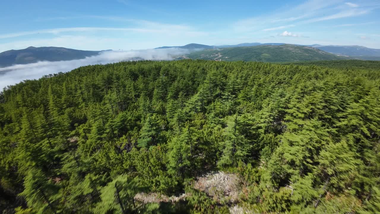 Discover the beauty of expansive green forests and rolling mountains under a bright sky