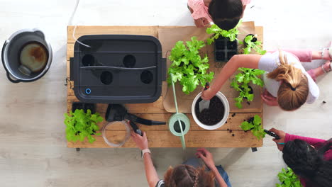 kids learning about hydroponics