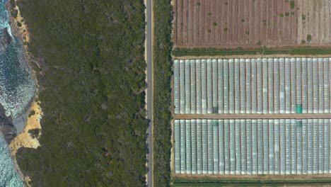 Deforestación-De-La-Naturaleza-Cerca-De-La-Playa-Para-La-Construcción-De-Invernaderos-Alentejo-Portugal,-Vista-Aérea-Superior