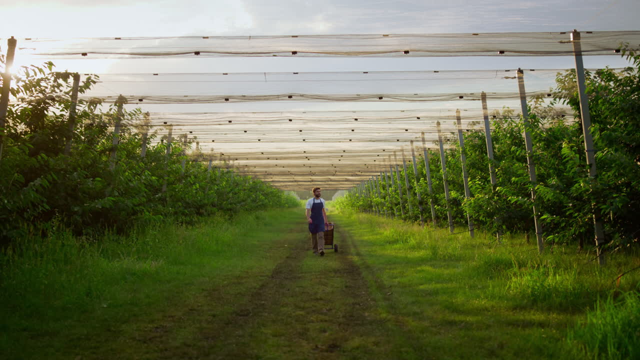 웃는 농부가 플랜테이션 하우스에서 크레이트 농학 장비를 사용하여 검사합니다.