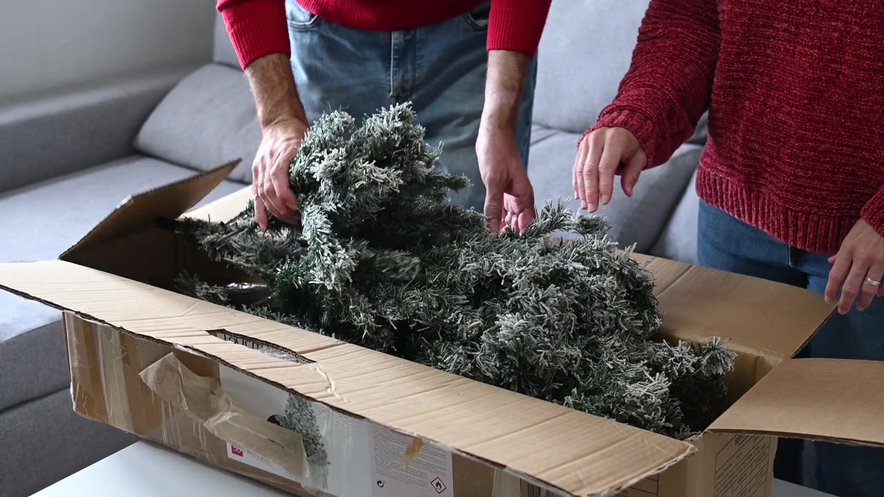 Couple Unpacking Artificial Christmas Tree from Cardboard Box