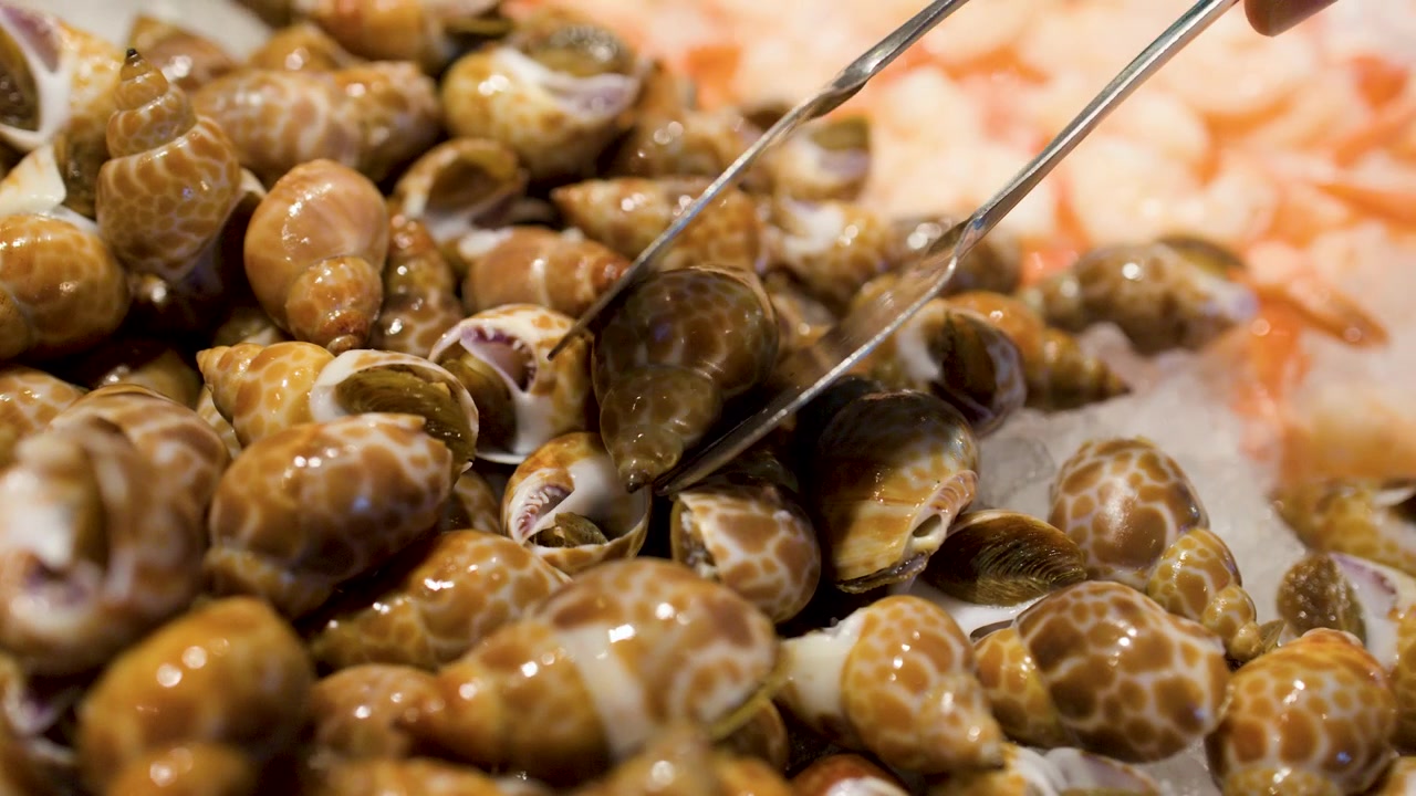 Close-up shot of metal tongs selecting sea snails from a chilled ice buffet display