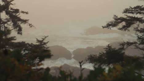 beautiful overlook view of ucluelet peninsula on a foggy morning